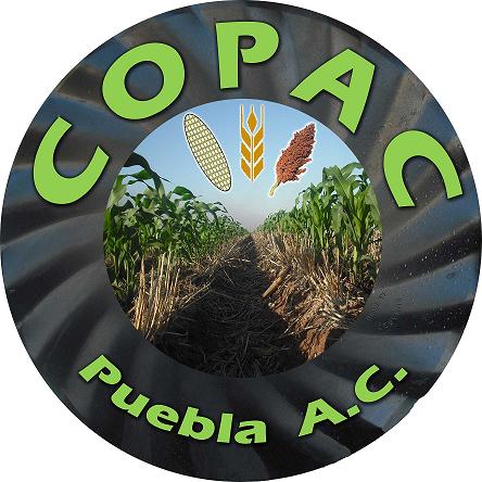 COPAC estrena nuevo sitio oficial en la Web